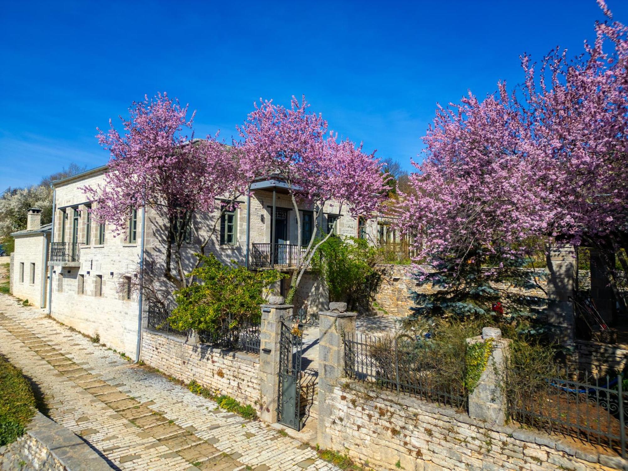 Katikia Zagori Vitsa