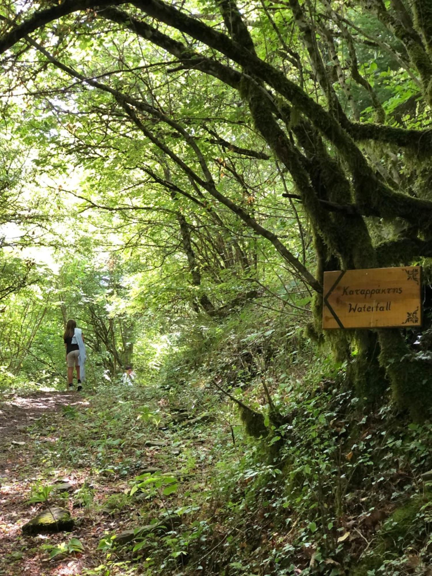 Katikia Zagori Pensiune Vitsa